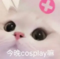 馒头B 7